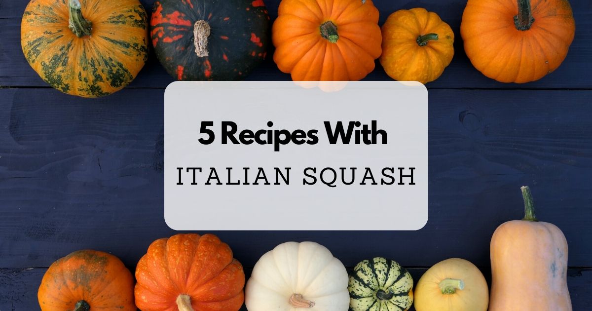 5 Recipes With Italian Squash - The Proud Italian