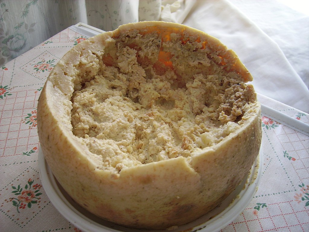 Casu Marzu - The Sardinian Cheese with Maggots - The Prou Italian