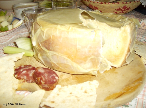 Casu Marzu, The Sardinian Cheese with Maggots - The Proud Italian