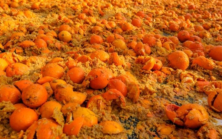 Oranges on the ground, Why you need to plan your next trip to the Venice Carnival - The Proud Italian