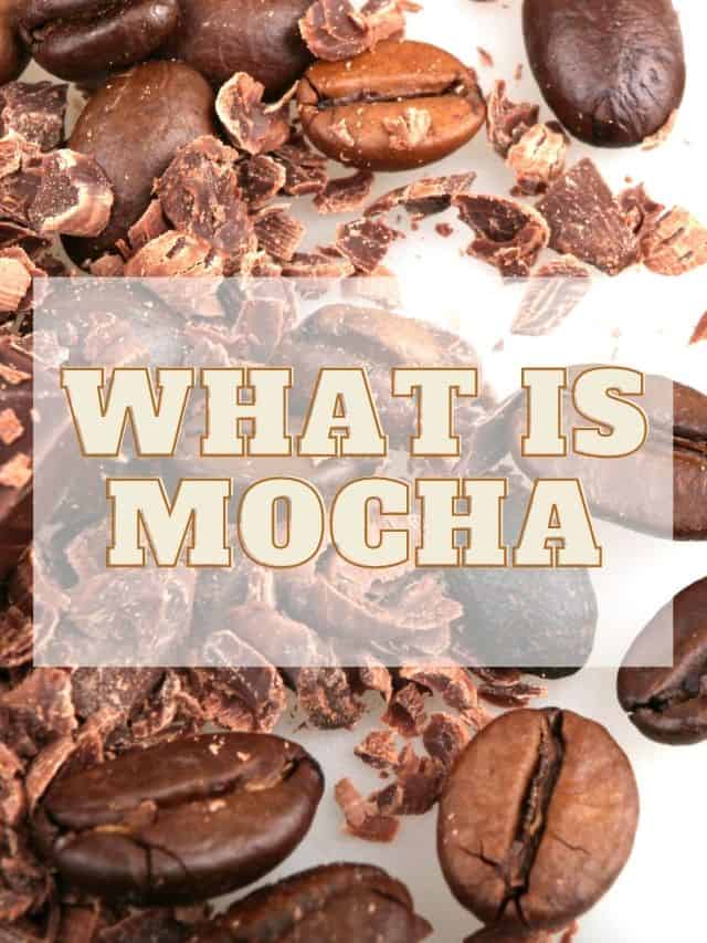 What is Mocha?