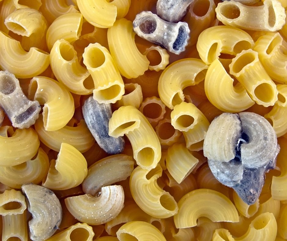 mold on pasta