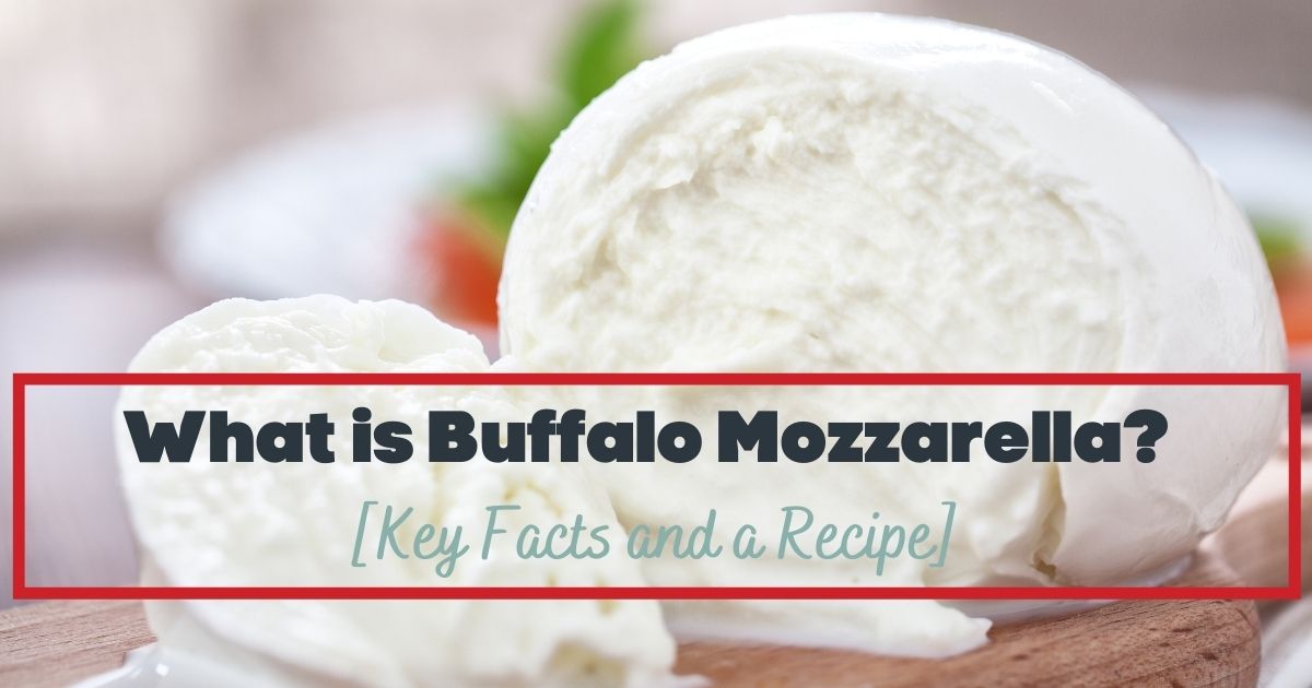 what is buffalo mozzarella