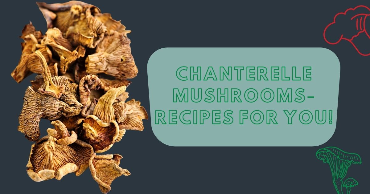 Chanterelle Mushrooms–Recipes For You!