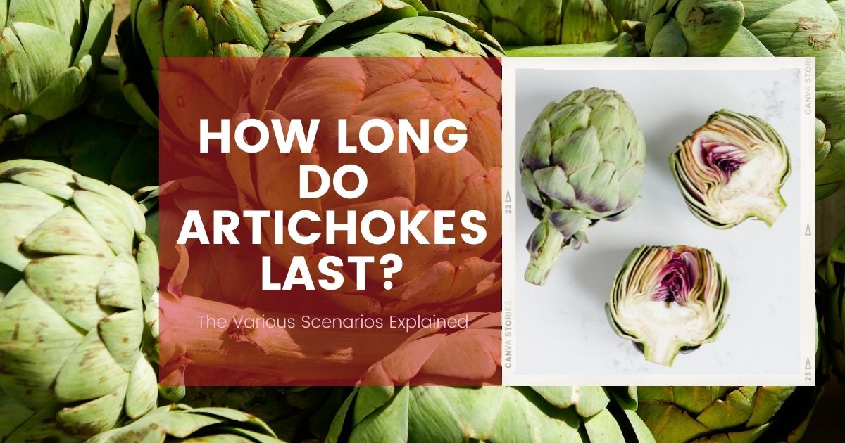 how long do artichokes last