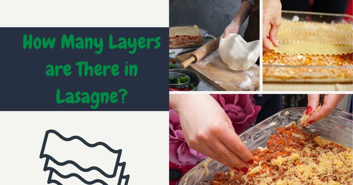 How Many Layers are There in Lasagne