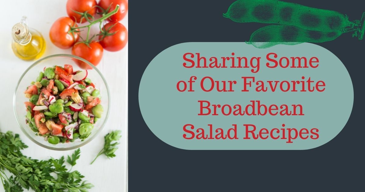 broadbean salad recipes