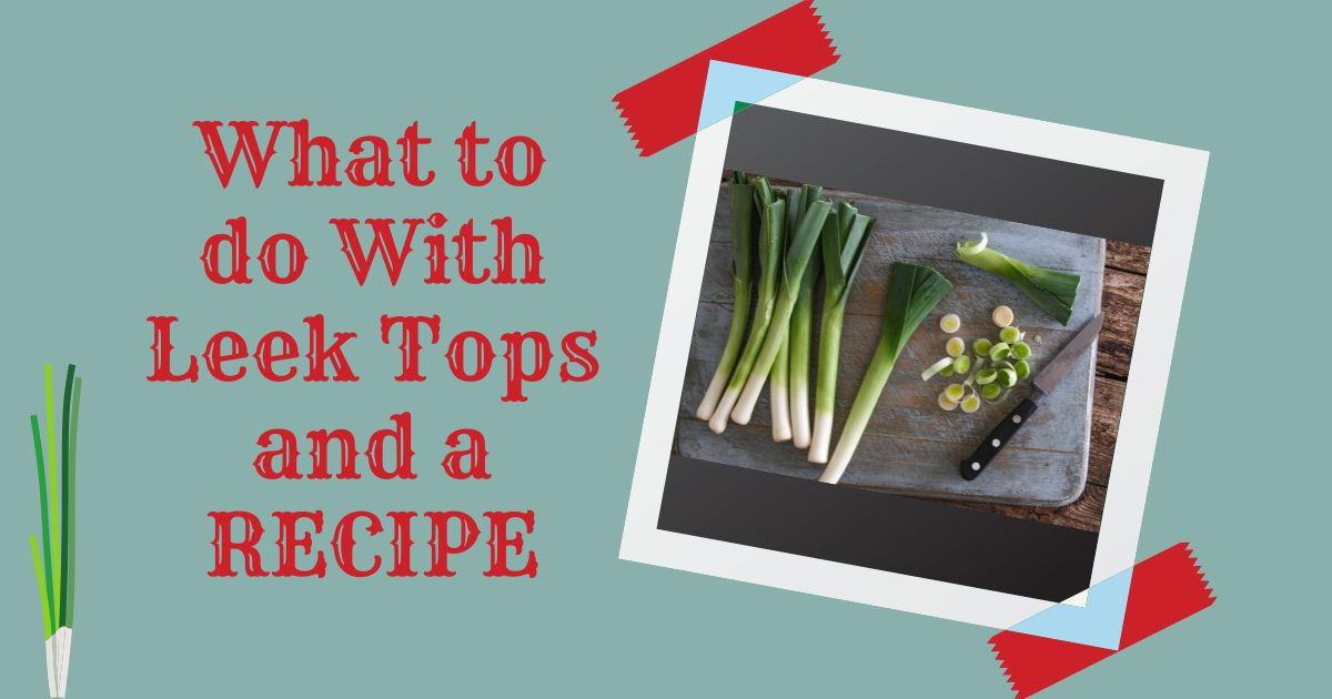what to do with leek tops