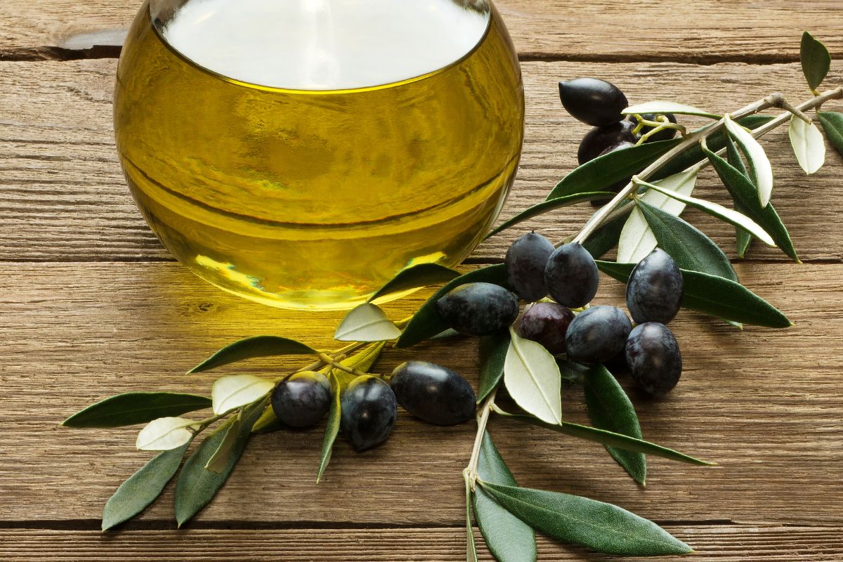 Olives and Olive oil