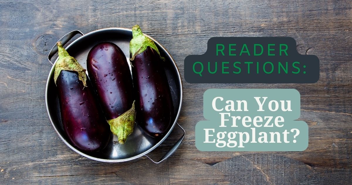 can you freeze eggplant