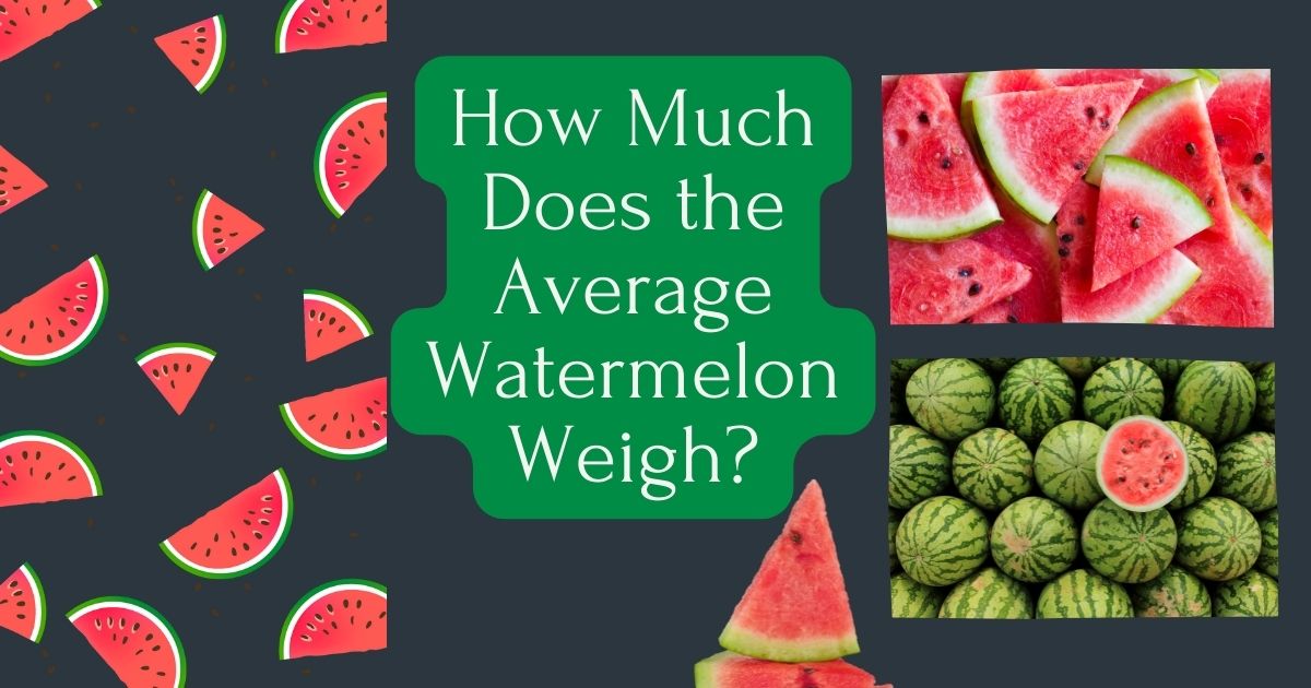 how much does the average watermelon weigh