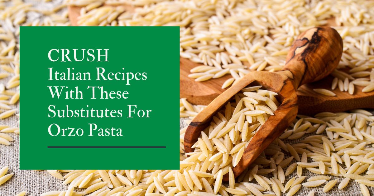 Substitutes For Orzo Pasta