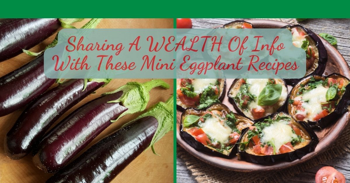 mini eggplant recipes