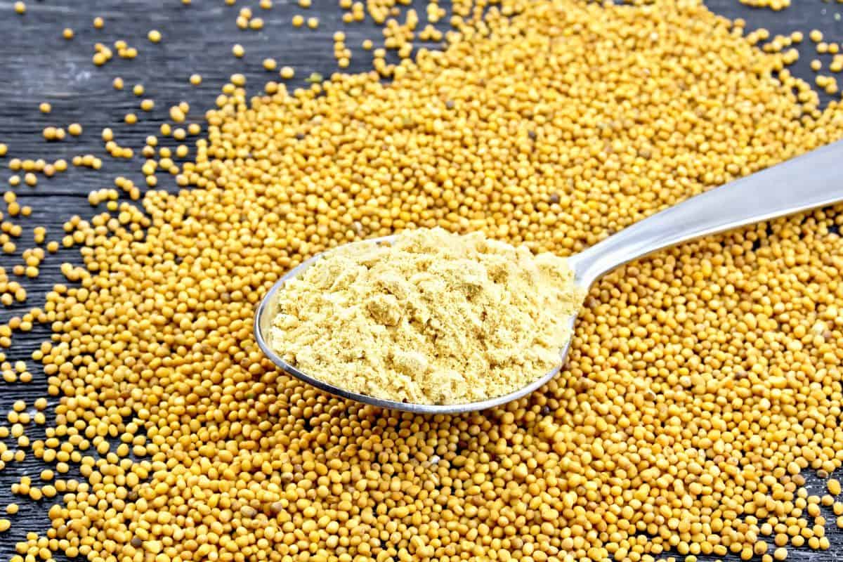 Mustard seeds and powder