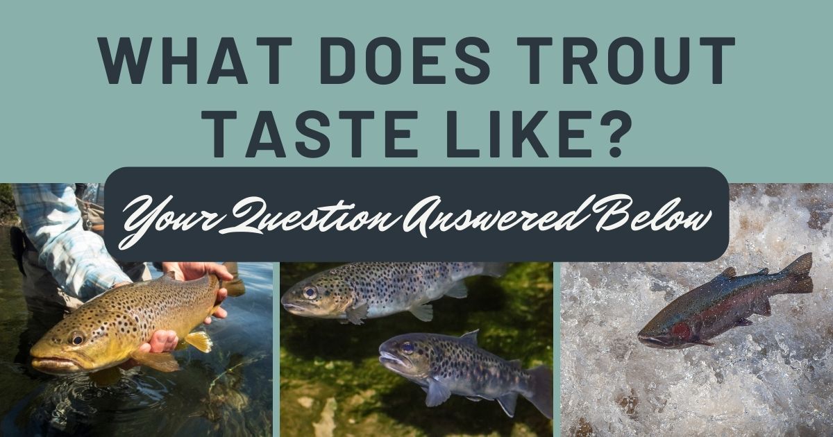 What Does Trout Taste Like