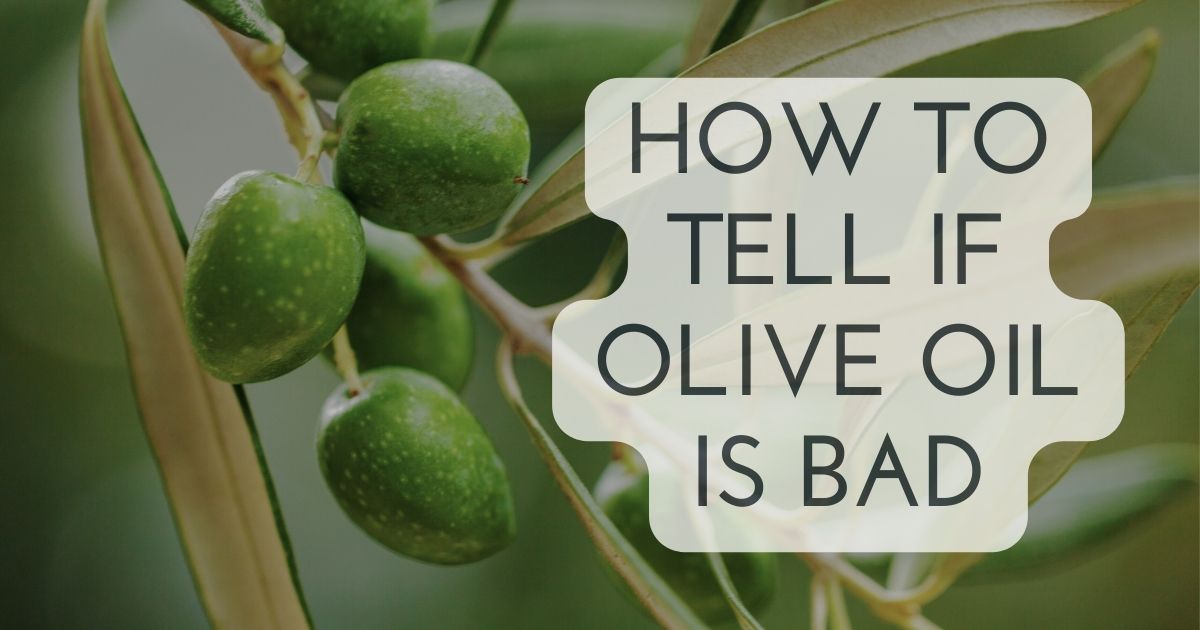 How to Tell if Olive Oil Is Bad